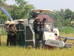Bupati Pati Optimis Produksi Beras 2025 Lampaui Tahun Lalu, Dukung Program Pangan Nasional
