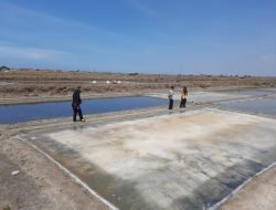 Kemarau Basah Hambat Produksi Garam, Petani di Pati Belum Bisa Panen