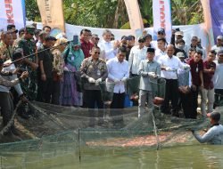 Menteri Desa dan Dirjen KKP Tinjau Budidaya Nila Salin di Pati, Dorong Ekspor dan Ketahanan Pangan Nasional