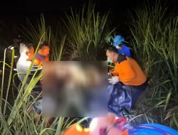 Warga Pati Geger, Mayat Perempuan Ditemukan di Ladang Tebu