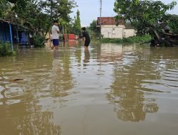 Banjir Pati Terbaru, Warga Batangan Mengungsi Akibat Tanggul Jebol