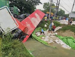 Truk Tronton Bermuatan Pupuk Terjun ke Sungai di Batangan, Diduga Sopir Mengantuk