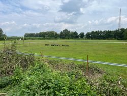 KDMP Tambaharjo Tuai Protes, Pemuda dan Pemilik Ruko Desak Kepastian Tertulis