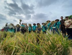 Kolaborasi Pemkab Pati dan PT. GNA, Program 10 Ton Bisa Sukses di Desa Gabus