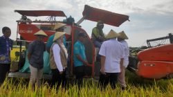Panen Raya Bukti Program 1 Hektar 10 Ton Terwujud di Pati
