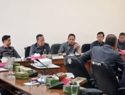 Komisi B DPRD Pati Dorong Penanaman Jagung Masif Dukung Swasembada Pangan