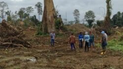 KERUKUNAN MASYARAKAT ADAT DAYAK BASAB ULAYAT JANTUI, KESULTANAN SAMBALIUNG, DAN SABANG MERAH BORNEO KECAM PT. TRIDAYA HUTAN LESTARI (THL): HUKUM ADAT DILECEHKAN, AKSI MASSA SIAP DIGELAR!