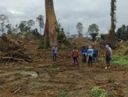 KERUKUNAN MASYARAKAT ADAT DAYAK BASAB ULAYAT JANTUI, KESULTANAN SAMBALIUNG, DAN SABANG MERAH BORNEO KECAM PT. TRIDAYA HUTAN LESTARI (THL): HUKUM ADAT DILECEHKAN, AKSI MASSA SIAP DIGELAR!
