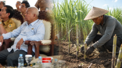 Hardi Ajak Petani Optimalkan Lahan Tegalan untuk Budidaya Tebu