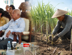 Hardi Ajak Petani Optimalkan Lahan Tegalan untuk Budidaya Tebu