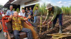 DPRD Pati Dukung Bongkar Ratoon, Hardi: Langkah Strategis Wujudkan Swasembada Gula