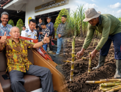 DPRD Pati Dukung Bongkar Ratoon, Hardi: Langkah Strategis Wujudkan Swasembada Gula
