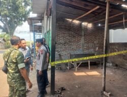 Tangisan dari Dalam Kardus Gegerkan Bengkel Mobil di Trangkil