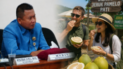 DPRD Pati Dorong Pemkab Optimalkan Jeruk Pamelo sebagai Ikon Bumi Mina Tani