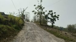 DPRD Pati Dorong Perbaikan Jalan Mojoagung-Sitimulyo, Warga Khawatir Kerusakan Meluas