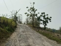DPRD Pati Dorong Perbaikan Jalan Mojoagung-Sitimulyo, Warga Khawatir Kerusakan Meluas